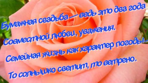 Анимационные поздравления на Бумажную свадьбу 2 года. Поздравительные картинк...