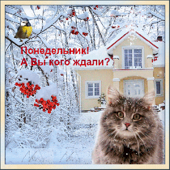 Открытки с наилучшими пожеланиями на понедельник. Открытки на понедельник ска...