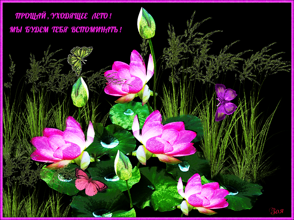 Открытки на тему лета скачать бесплатно. Анимационные открытки про лето.