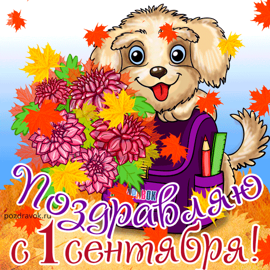 Открытки с поздравлениями на день знаний скачать бесплатно. 