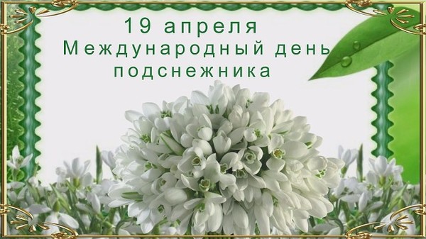 Красивые открытки с днем подснежника. Открытки с днем подснежников скачать бе...