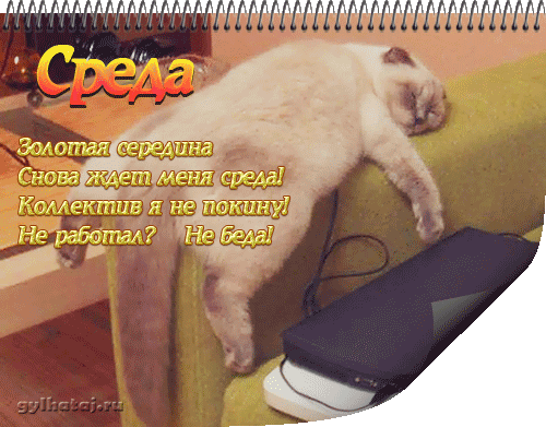 Открытки с пожеланиями отличной среды. Красивые открытки на среду.