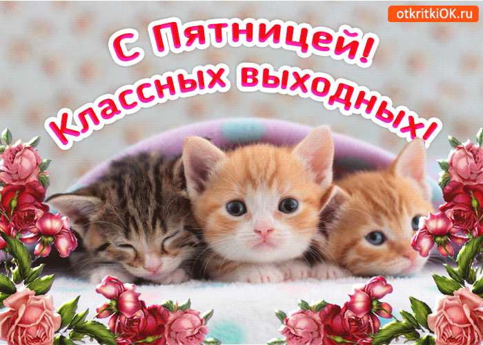 Прикольные открытки на пятницу. Открытки с пожеланиями на пятницу скачать бес...