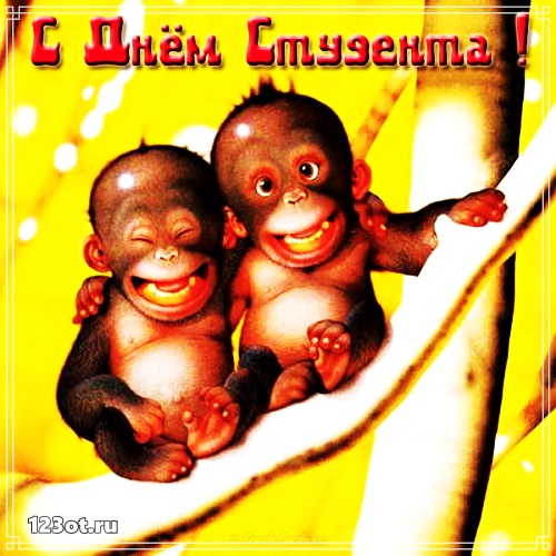 Анимационные открытки с днем студента с наилучшими пожеланиями скачать беспла...