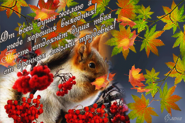 Красивые открытки замечательных выходных. Открытки хороших выходных скачать б...