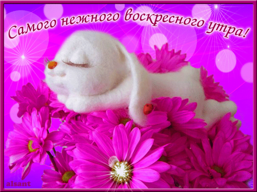 Мерцающие открытки про воскресенье. Открытки на воскресное утро.