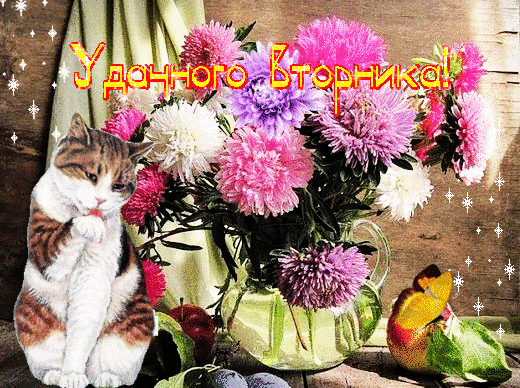 Позитивные открытки на вторник. Картинки про вторник скачать бесплатно.