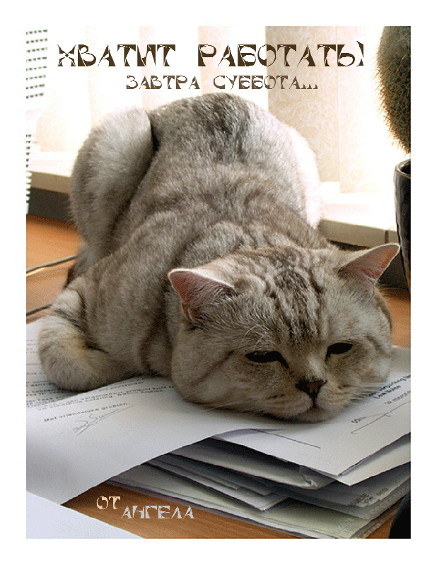 Интересные открытки на субботу. Веселые открытки на выходные.