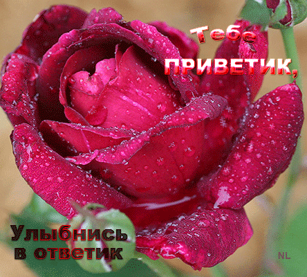 Весёлые открытки с пожеланиями улыбнись. Открытки с улыбкой скачать бесплатно.