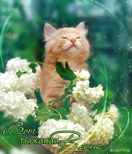 Красивые мерцающие открытки на весеннюю тематику. Скачать бесплатно открытки ...