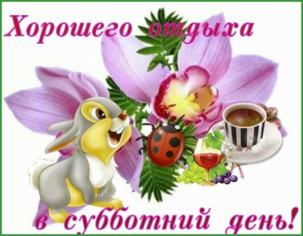 Интересные открытки на субботу. Веселые открытки на выходные. 