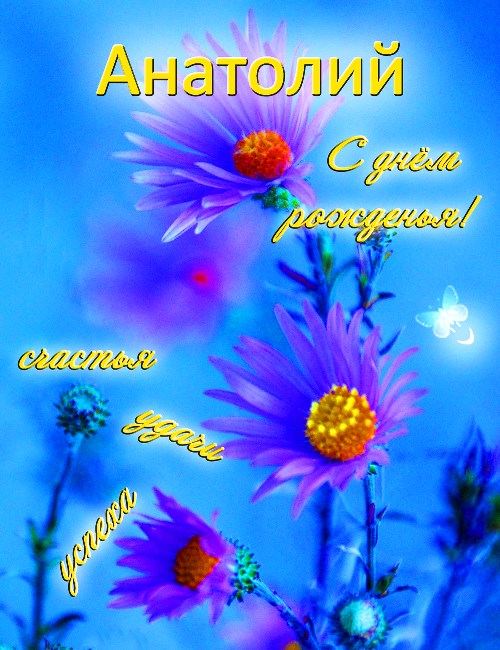 Картинки с именем Анатолий скачать бесплатно. Открытки с именем Толик.