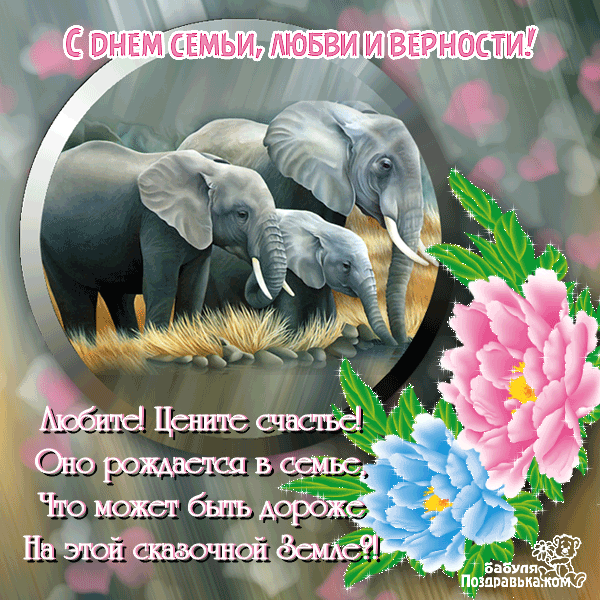 Открытки с красивыми пожеланиями на день семьи, любви и верности.