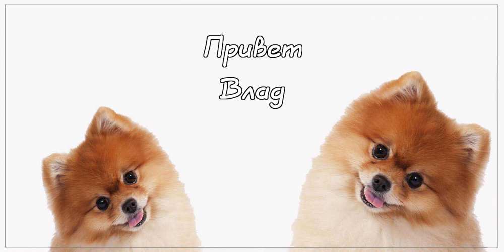 Поздравительные открытки с мужскими именами. Открытки с именем Владислав скач...