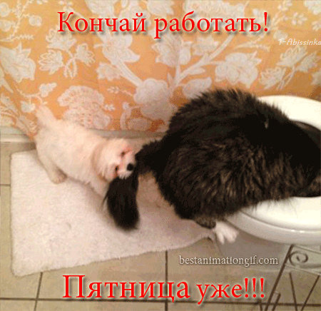 Прикольные открытки на пятницу. Открытки с пожеланиями на пятницу скачать бес...