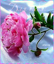 Красивые открытки для тебя скачать бесплатно. Анимационные открытки тебе gif