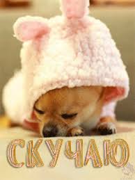 Анимационные открытки скучаю по тебе. Открытки я так скучаю скачать бесплатно.