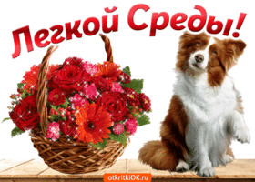 Открытки с пожеланиями отличной среды. Красивые открытки на среду.