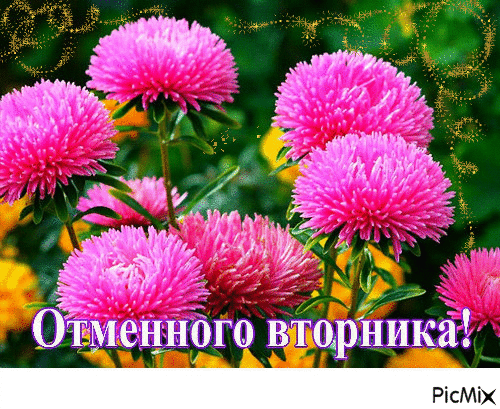 Позитивные открытки на вторник. Картинки про вторник скачать бесплатно.