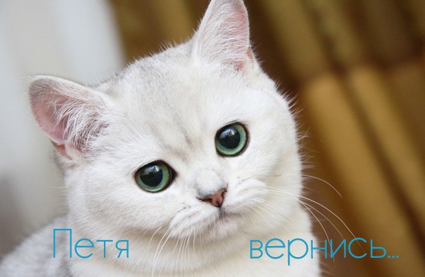 С днём рождения Петя открытки. Открытки с мужскими именами. Открытки с именем...