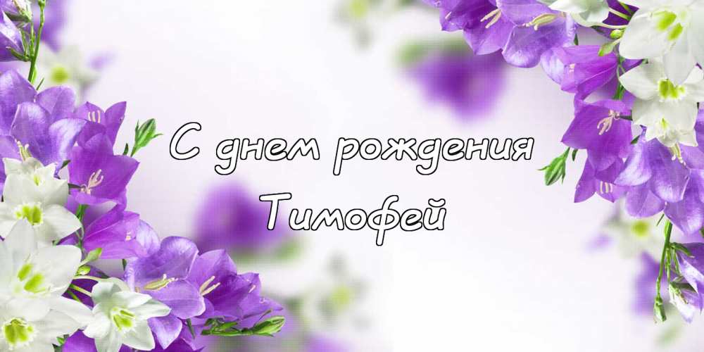 Анимационные открытки с именем Тимофей. Открытки с мужскими именами с поздрав...