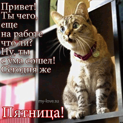 Прикольные открытки на пятницу. Открытки с пожеланиями на пятницу скачать бес...