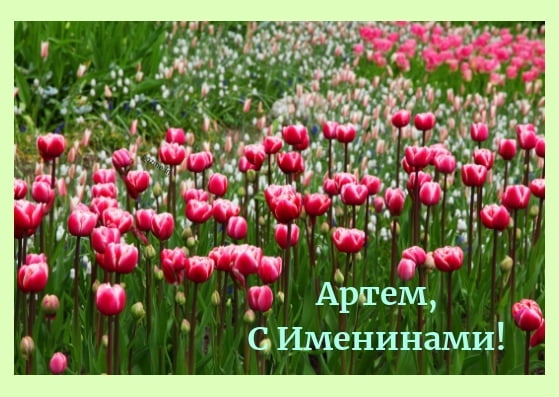 Поздравительные открытки с именами. Открытки с именем Артём gif. 