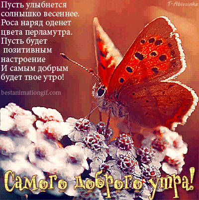 Открытки Мерцающие открытки с бабочками. Открытки с красивыми бабочками скачать бесплатно. Праздничные открытки с изображением бабочек. Открытки с бабочками на день рождения. Анимационные открытки с бабочками скачать бесплатно. Красивые картинки с бабочками.