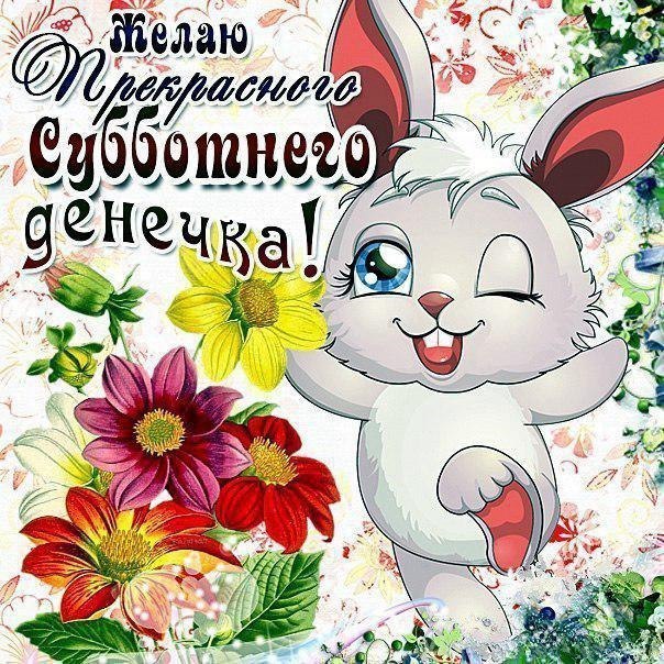 Интересные открытки на субботу. Веселые открытки на выходные.