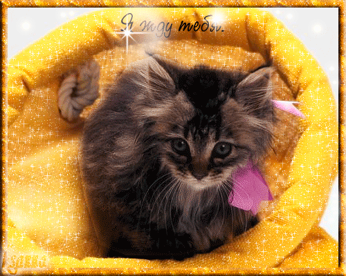 Открытки я жду тебя gif. Открытки возвращайся скорее скачать бесплатно.