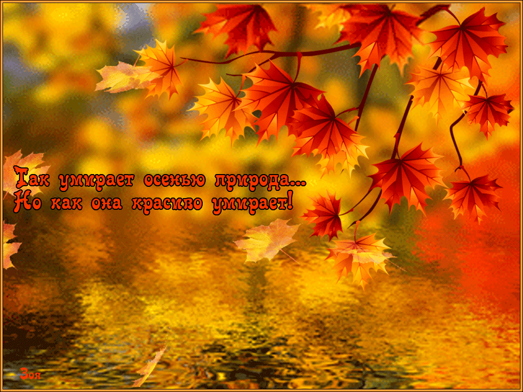 Золотой день стихи. Осенние открытки. Красивые осенние открытки. Открытки на тему осень. Теплой осени стихи.