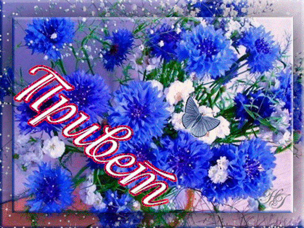 Красивые анимационные открытки с различными приветствиями скачать бесплатно.