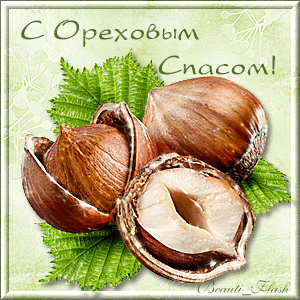 Оригинальные открытки с поздравлениями на Ореховый Спас скачать бесплатно.