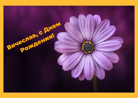 Открытки с именем Вячеслав скачать бесплатно. Открытки с днём рождения Слава. 
