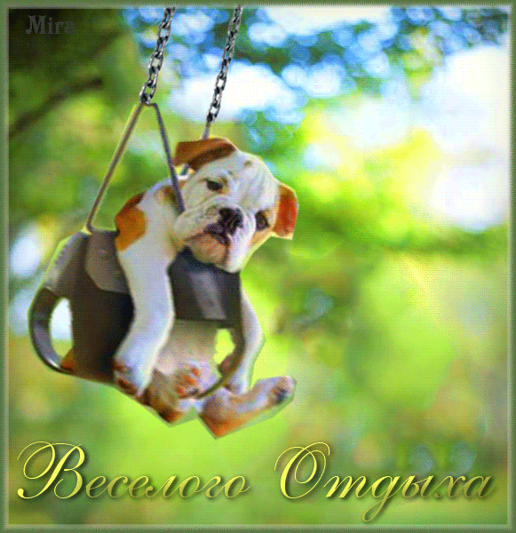 Открытки с пожеланиями хорошего отдыха. Красивые открытки отличного отпуска.