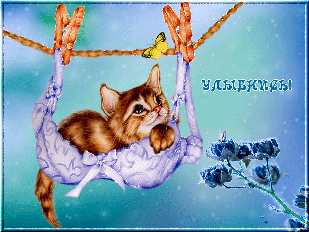 Весёлые открытки с пожеланиями улыбнись. Открытки с улыбкой скачать бесплатно.