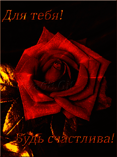 Красивые открытки для тебя скачать бесплатно. Анимационные открытки тебе gif