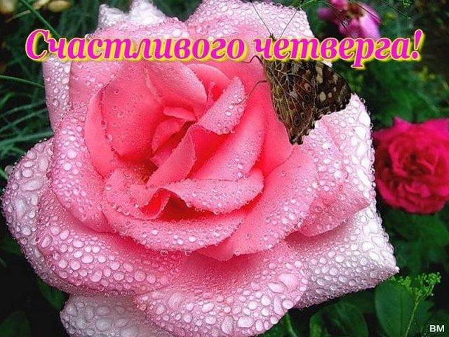 Анимационные открытки доброго утра и отличного четверга скачать бесплатно.