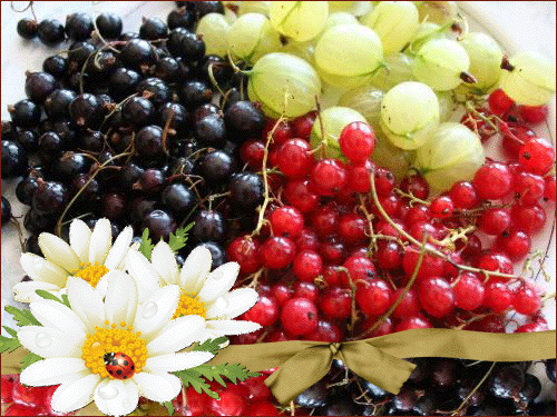 Открытки на тему осени скачать бесплатно. Анимационные открытки про лето.