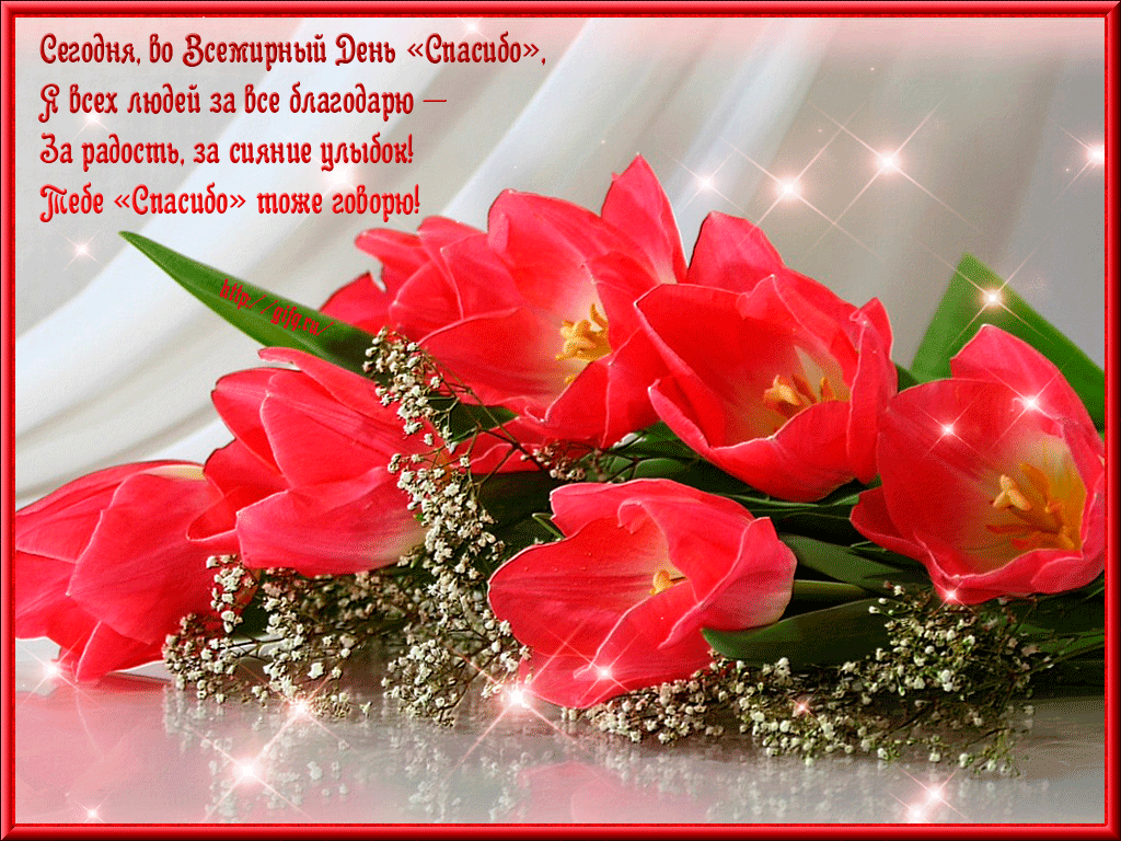 Благодарственные открытки на день спасибо скачать бесплатно.