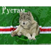 Поздравительные открытки с именем Рустам. Открытки с мужскими именами. С днём...