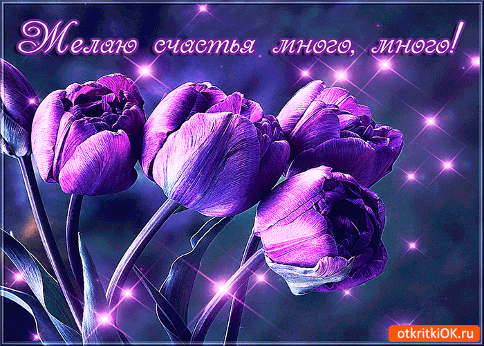 Скачать бесплатные открытки желаю счастья. Открытки желаю счастья с анимациями.