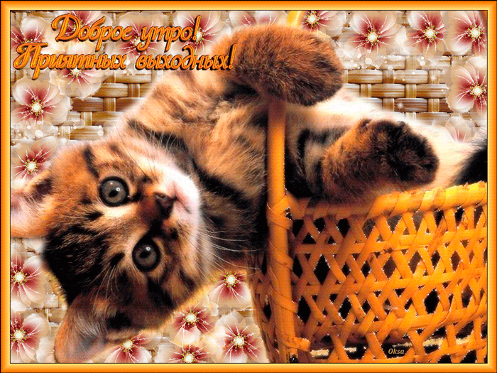 Красивые открытки замечательных выходных. Открытки хороших выходных скачать б...