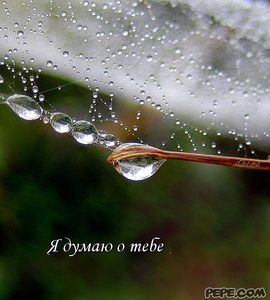 Анимационные открытки с признаниями. Открытки думаю о тебе gif.