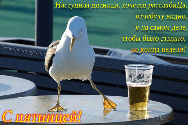 Открытки Прикольные открытки на пятницу. Открытки с пожеланиями на пятницу скачать бесплатно. Открытки с пожеланиями на пятницу gif. Анимационные открытки на тему пятница. Прикольные открытки на пятницу скачать бесплатно. Открытки с пожеланиями на пятницу.