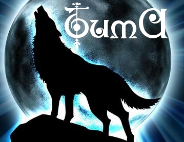 Анимационные открытки с именем Тимофей. Открытки с мужскими именами с поздрав...