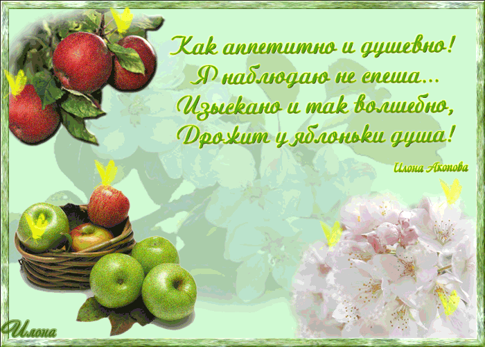 Открытки с яблочным спасом скачать бесплатно. Открытки с яблочным спасом gif. 