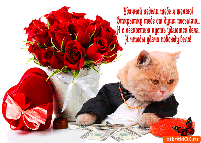 Забавные открытки с пожеланиями удачной недели. Открытки удачной недели скача...