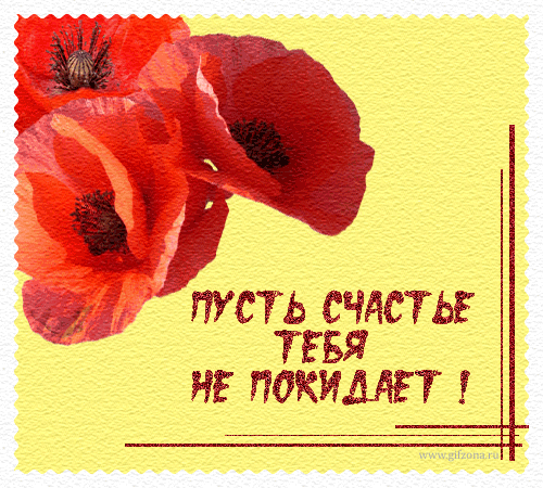 Открытки Скачать бесплатно открытки с пожеланиями счастья. Мерцающие открытки желаю счастья. Скачать бесплатные открытки с пожеланиями счастья. Красивые открытки счастья тебе. Будь счастлива открытки поздравительные. Открытки желаю счастья с анимациями.