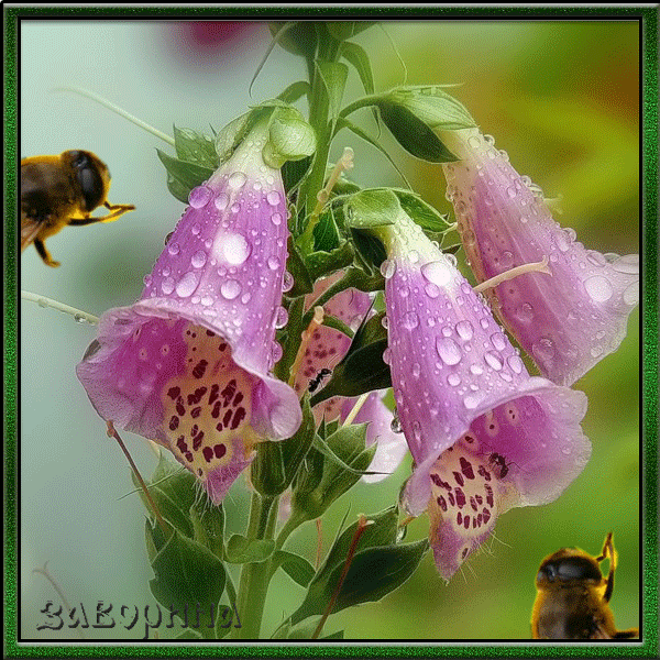 Красивые мерцающие открытки на весеннюю тематику. Скачать бесплатно открытки ...